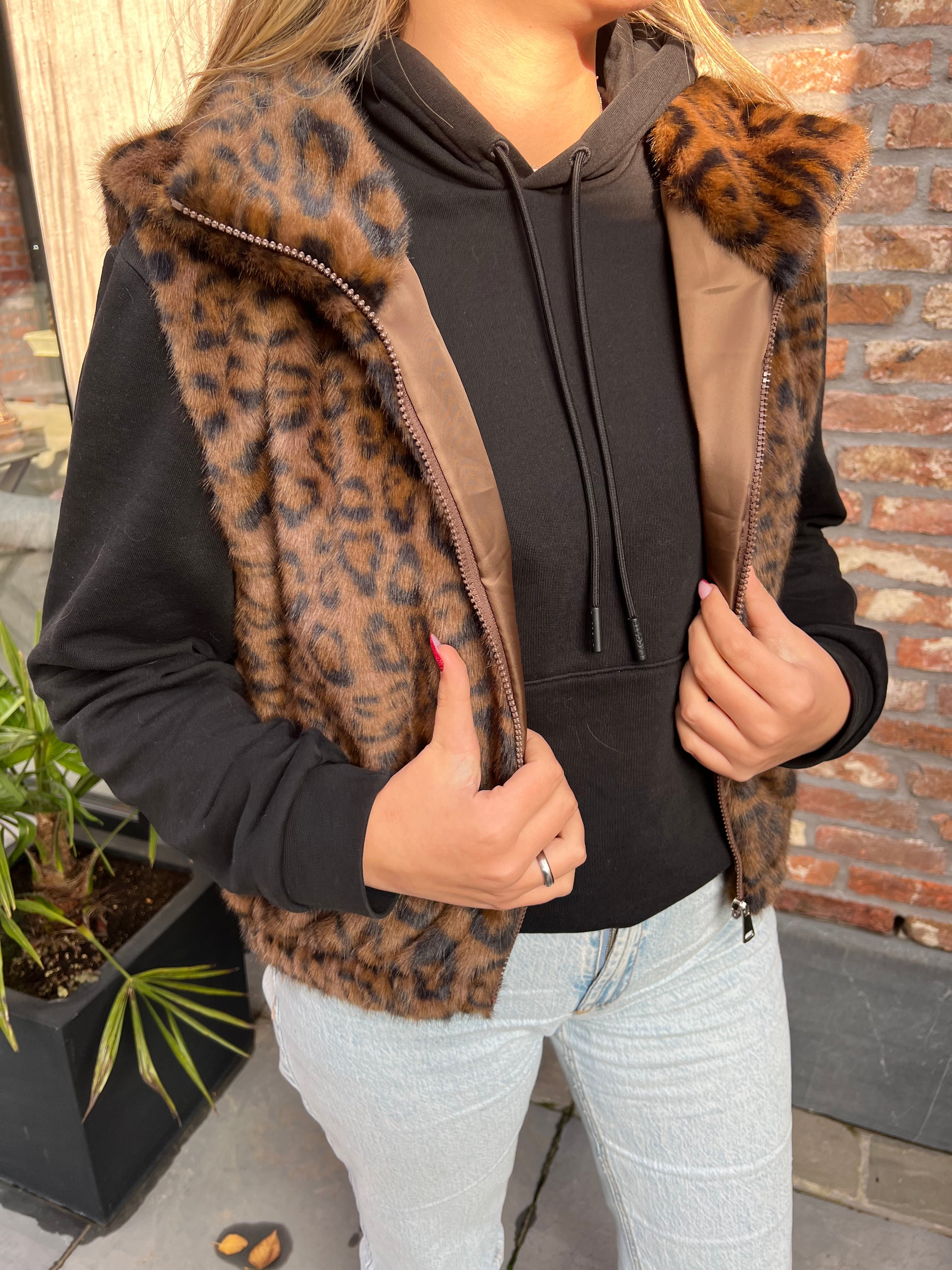 Panter bontje donker